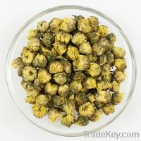 Sell chrysanthemum