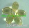Sell Wheat Germ Oil Capsule