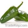 Sell Capsicum Extract