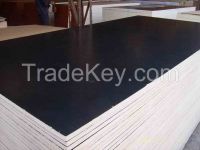 Black film faced plywood, 240g/M2, two times sanding, poplar core, E2 glue