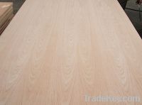 Sell Red Oak Plywood
