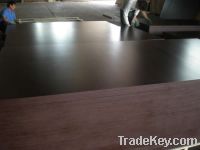 Sell Film Faced Plywood for Construction