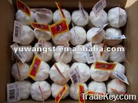 Sell pure white garlic