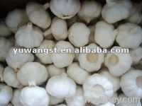 Sell normal white garlic