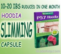 Sell  Weight Loss Product-P57 Hoodia Cactus Slimming Capsule