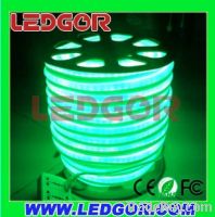 Sell led neon flex 12V waterproof