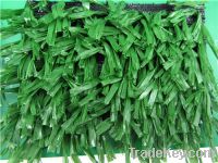 Sell synthetic turf for football/soccer M59