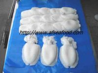 FROZEN WHOLE CLEANED CUTTLEFISH IQF OR BLOCK