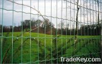 Sell Welded fence
