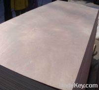 Sell poplar core E2/E2/E0/MR/WBP glue okoume plywood
