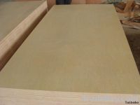 Sell full poplar plywood