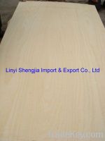 Sell white veneer plywood for africa market