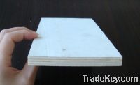 Sell mr glue bleaching poplar plywood