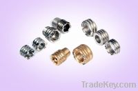 PPR & CPVC Pipe Fitting Brass Insert