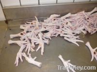 Export Chicken Paw | Chicken Feet Suppliers | Poultry Feet Exporters | Chicken Feets Traders | Processed Chicken Paw Buyers | Frozen Poultry Paw Wholesalers | Low Price Freeze Chicken Paw | Best Buy Chicken Paw | Buy Chicken Paw | Import Chicken Paw | Chi