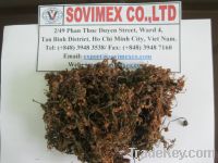 Sell sargassum sales08ATsovimexcoDOTcom