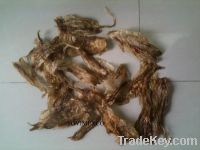 Sell dried fish maw for brewing manufacturers