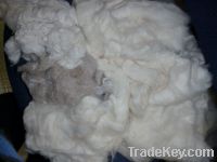 Sell All Kinds of Cotton Waste