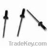 Blind/Pull Nails/Pop Rivets for All Kinds of Electrical Appliances