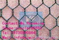 Sell Gabion Mesh/Hexagonal Wire Netting