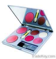 Eyeshadow & Blusher Compact Case