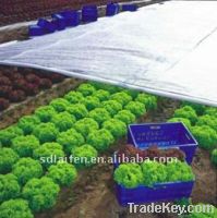 Anti- UV PP nonwoven fabric for agriculture