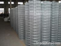 Sell Welded wire mesh