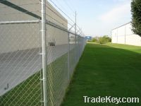 Sell chain wire fence