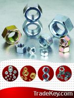 Sell Hex Nuts