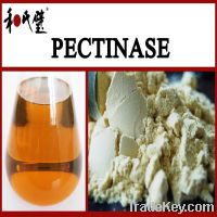 Sell pectinase enzyme for juice clarification