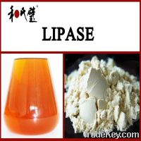 Sell lipase enzyme