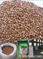 Sell roasted buckwheat kernels