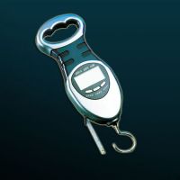 Sell fishing digital scale