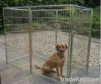 galvanized dog kennel (factory)