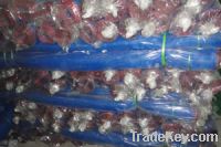 Sell plastic window net