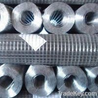 Sell Welded wire mesh