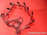 Sell dog chain
