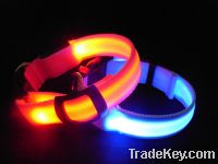 Sell double sides flashing led pet collar