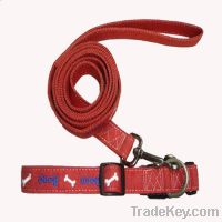 Sell latest deisgn pet collar&leash