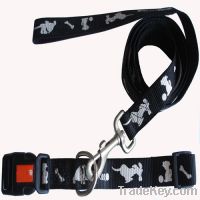 Sell dog collar and lead