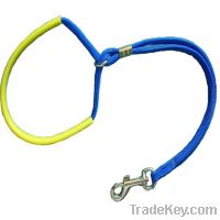 Sell dog collar and leash