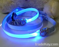 Sell blue led dog collar and leash