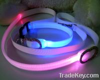 Sell led dog collar&leash