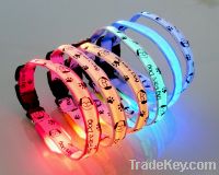 Sell lighting dog collar