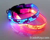 Sell 2012 hot selling led dog collar