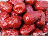 Sell Jujube extract