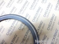 spring energized seal