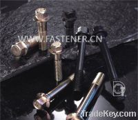 Sell Hexagon Bolts With Flange