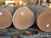 Sell cut timber and log and standing timber