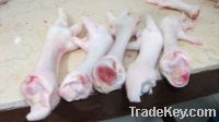  Export Chicken Paw | Chicken Feet Suppliers | Poultry Feet Exporters | Chicken Feets Traders | Processed Chicken Paw Buyers | Frozen Poultry Paw Wholesalers | Low Price Freeze Chicken Paw | Best Buy Chicken Paw | Buy Chicken Paw | Import Chicken Paw | Ch